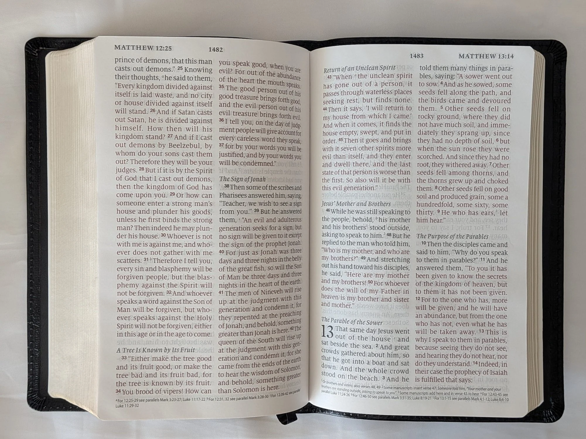 ESV_LargePrint_NT.jpg