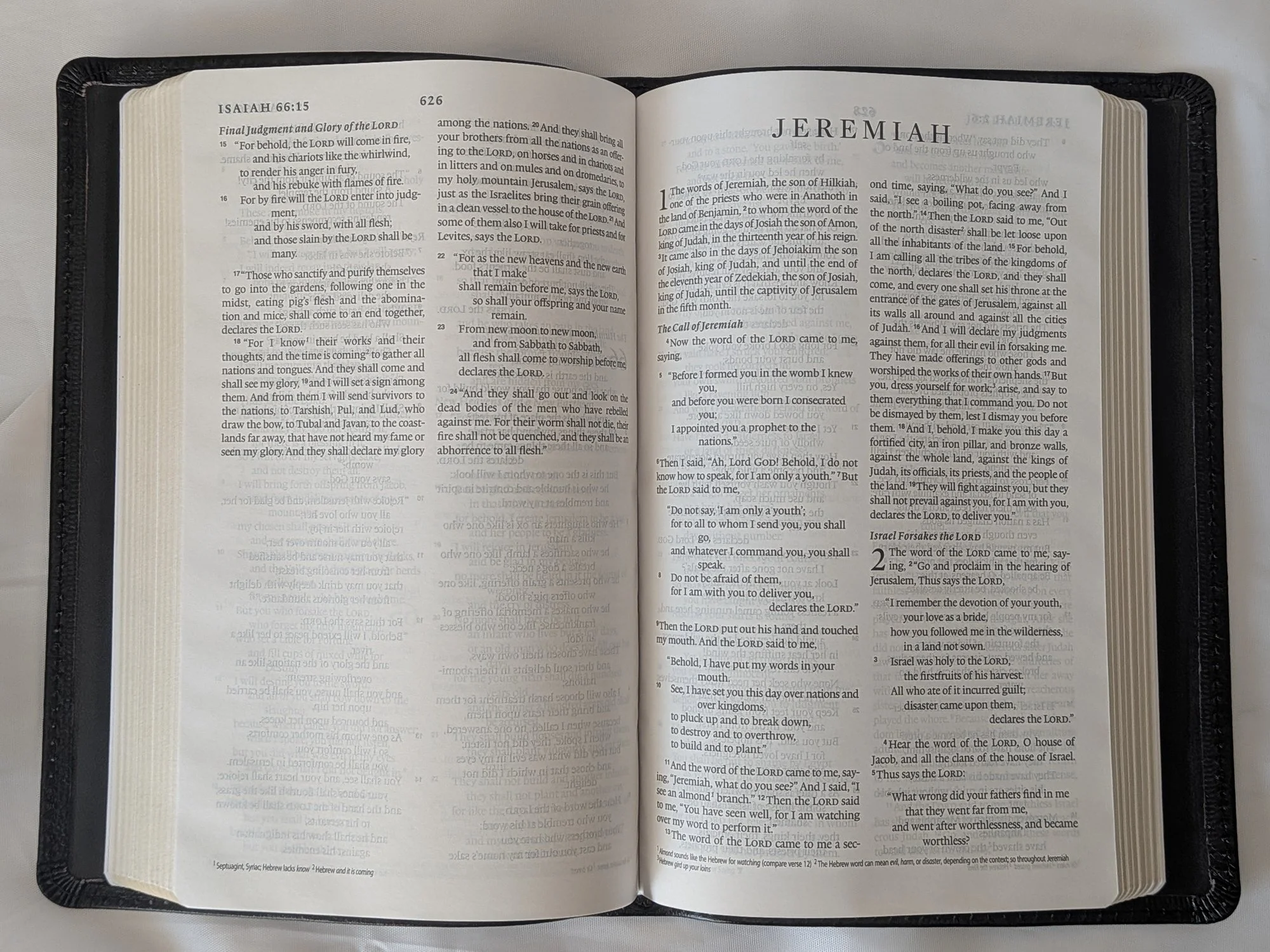 ESV_Thinline_OT.jpg