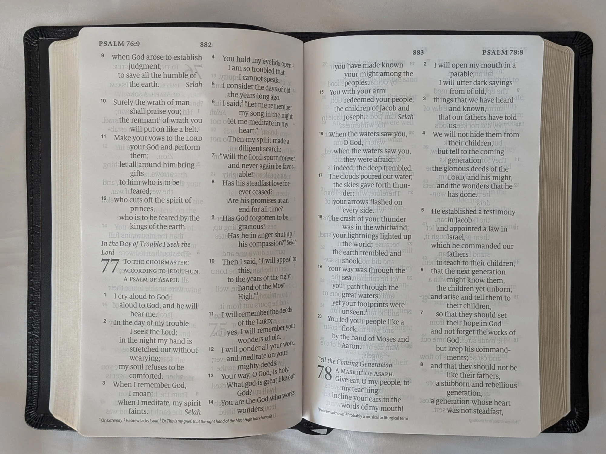 ESV_LargePrint_OT.jpg