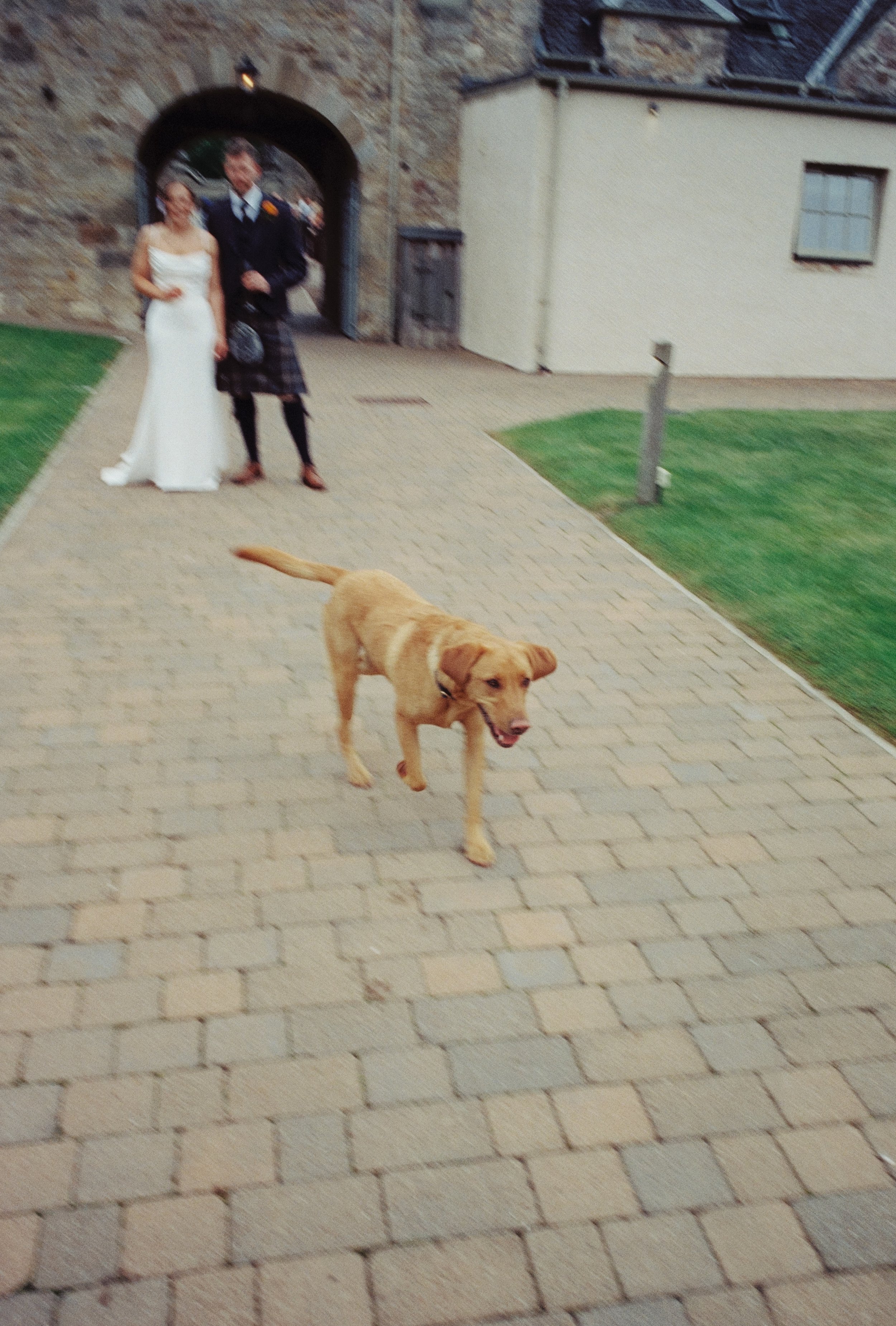 A couple dressed in formal wedding attire standing under an archway, with a dog walking on a paved pathway in the foreground, in front of a stone building with a window.