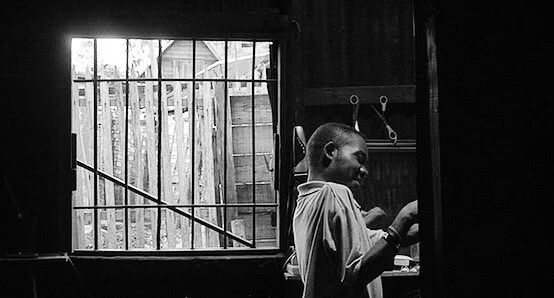 Nofinofy Shows How Some Things Are Universal