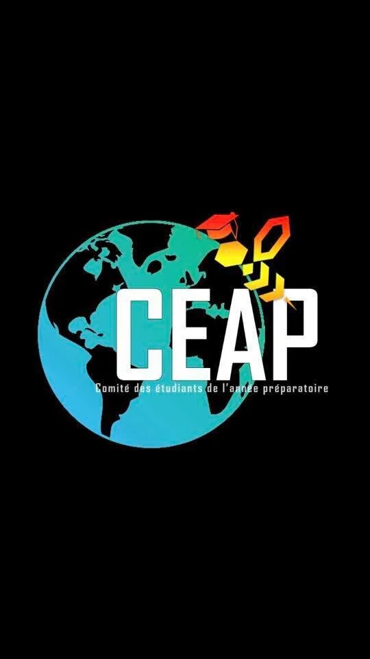 Réseautage du CEAP