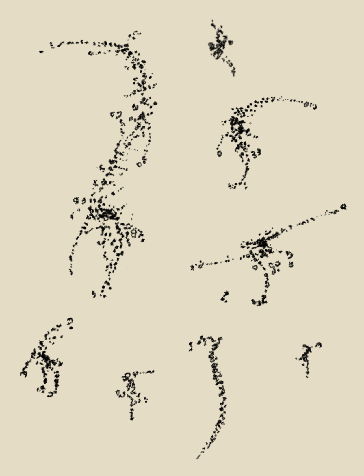 IMG_3810.PNG