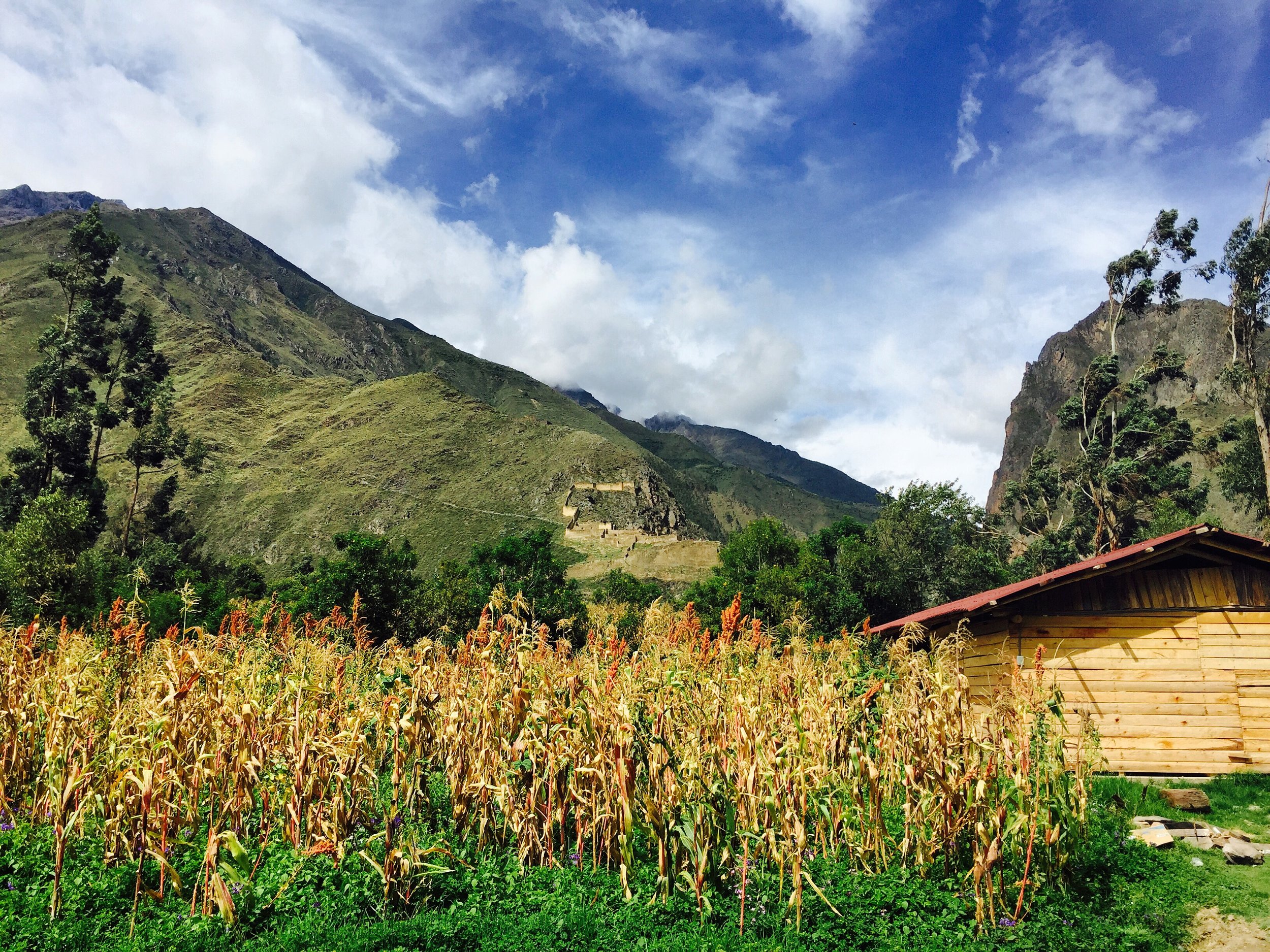 2016-01-21 14.39.37-1.jpg