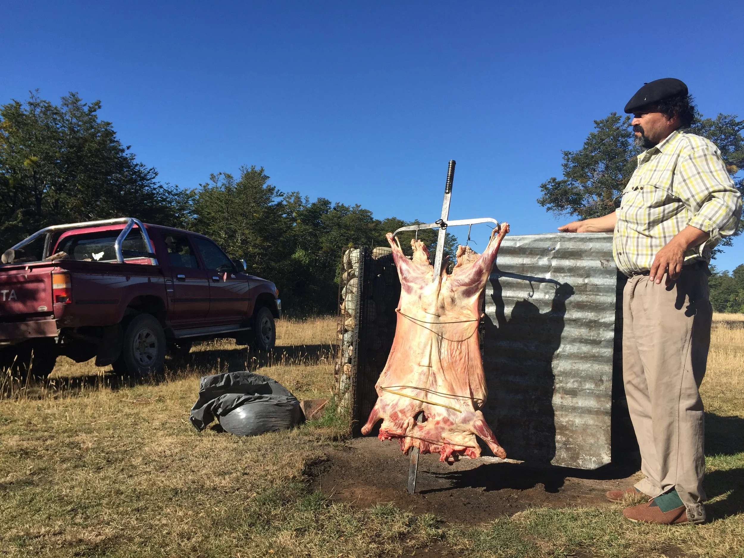 2016-02-09 18.08.30.jpg