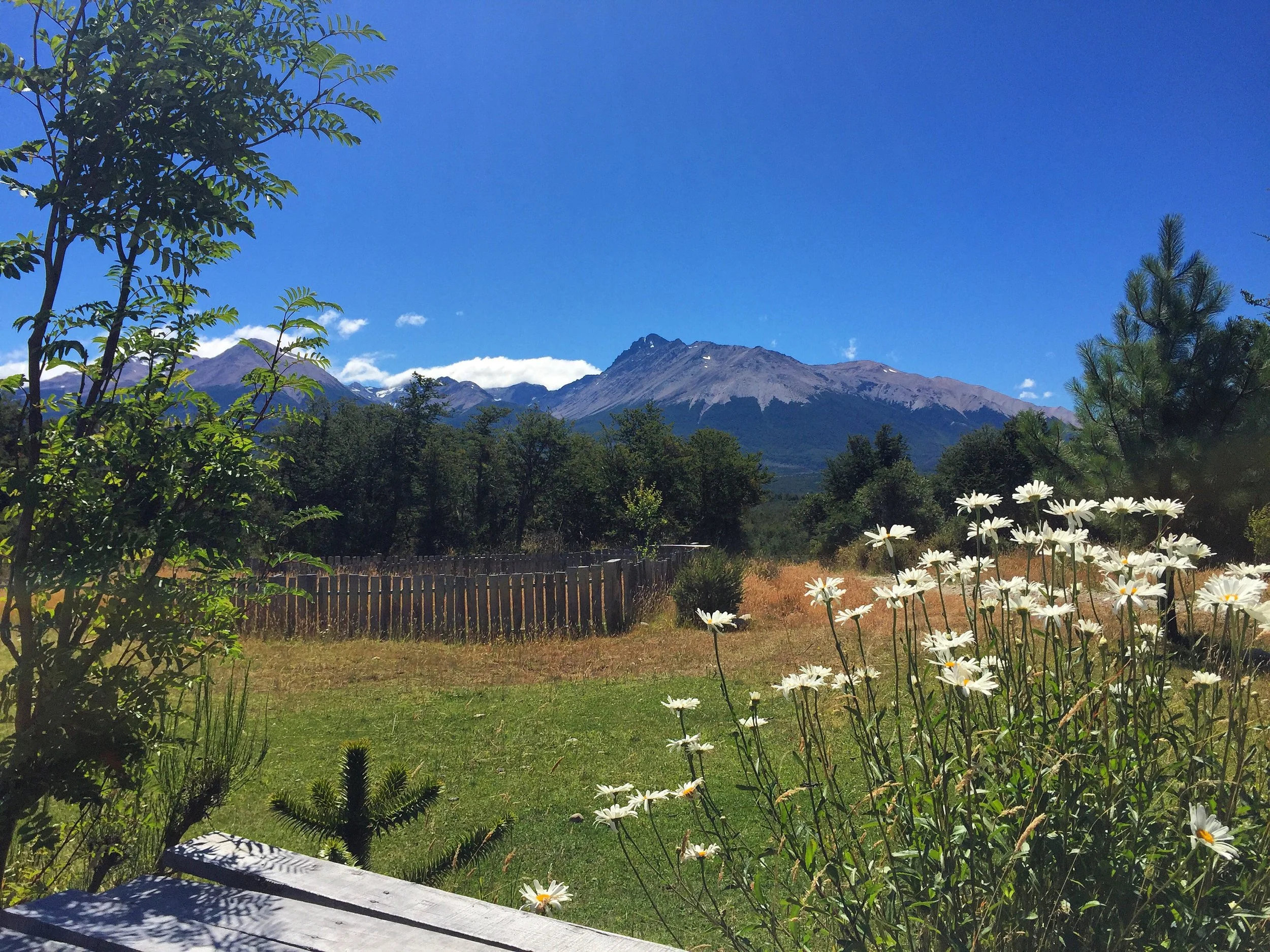 2016-02-13 08.51.27.jpg