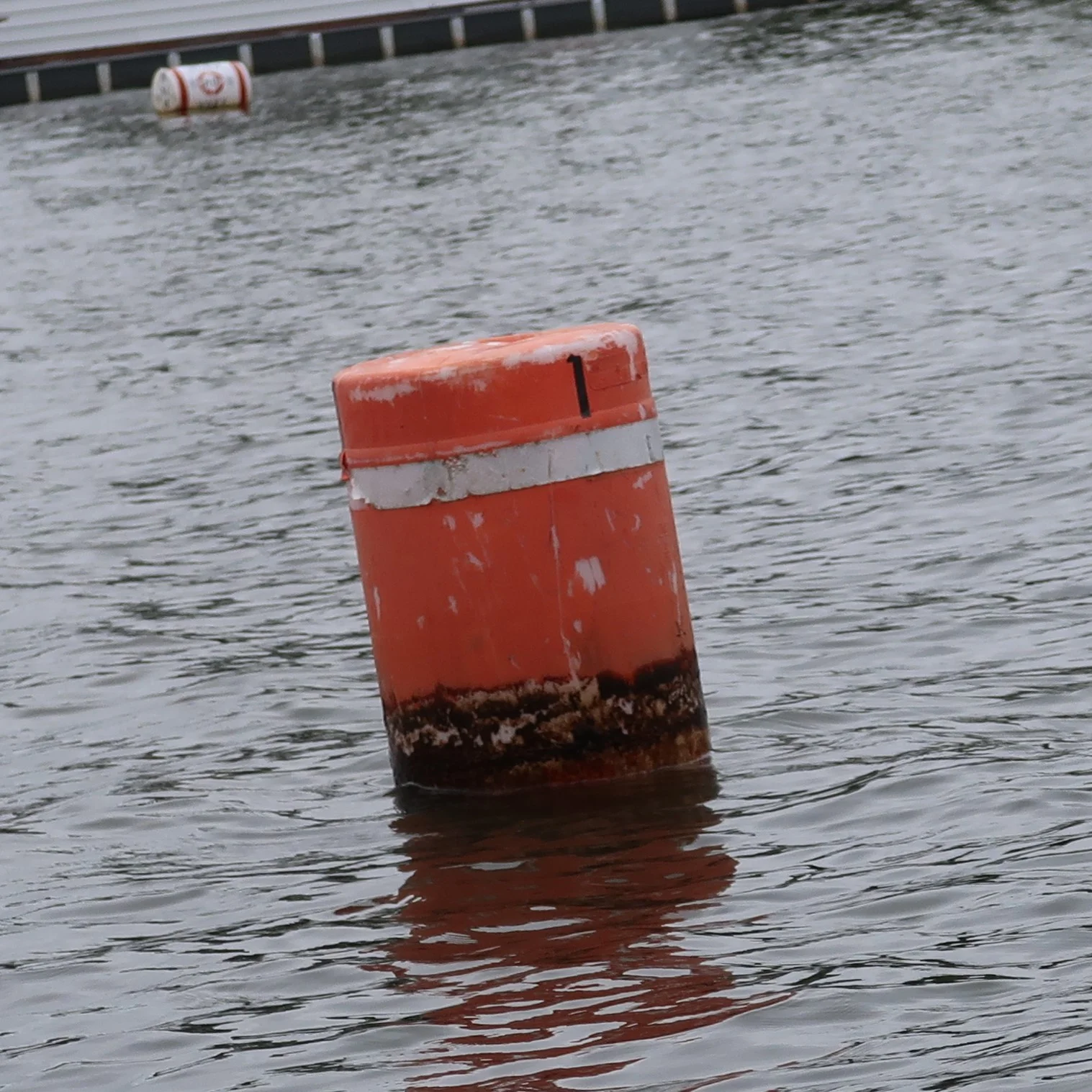 Buoy-1.jpg