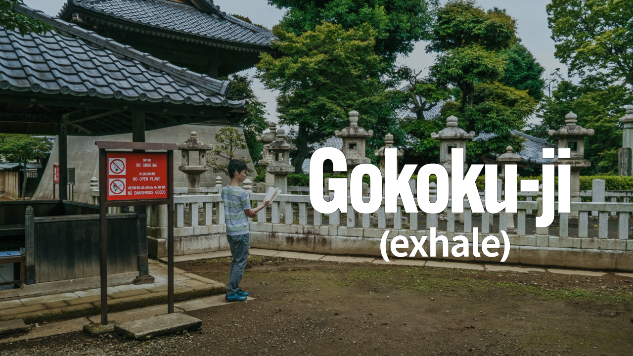 The Tokyo Most Tourists Skip: A Quiet Morning in Gokokuji