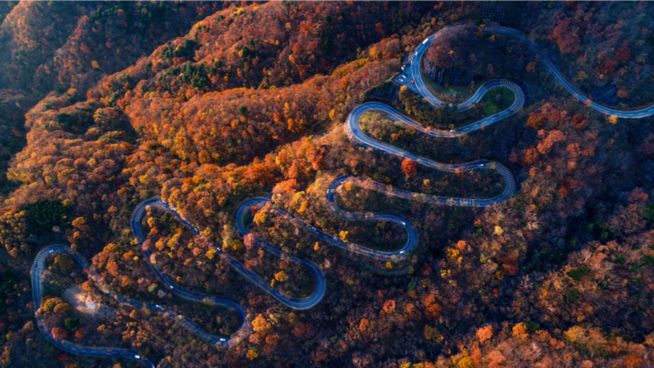 The Nikko Day Trip Lie: Why Driving Unlocks the Real Destination