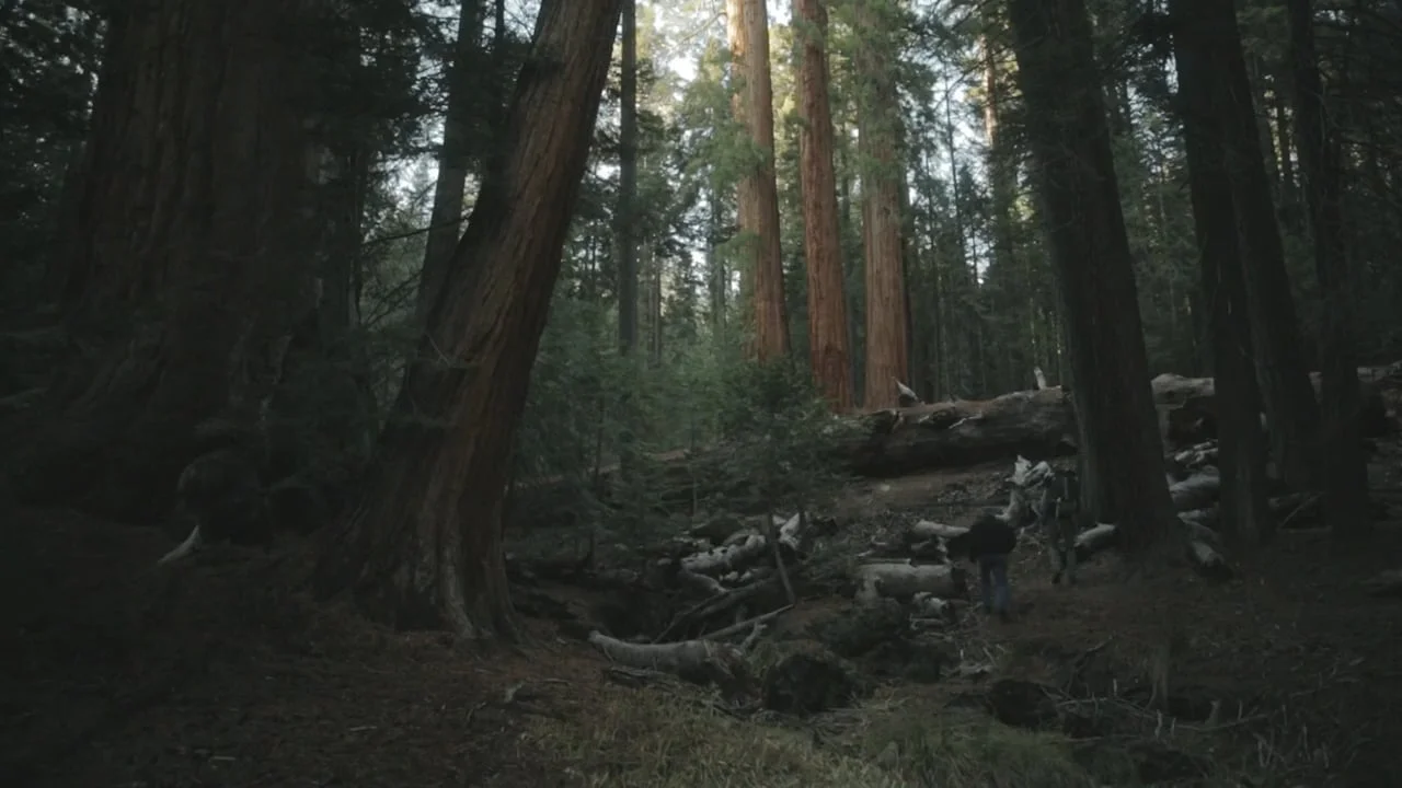 Dirt for Dirt Chevy Redwoods Ad.jpg