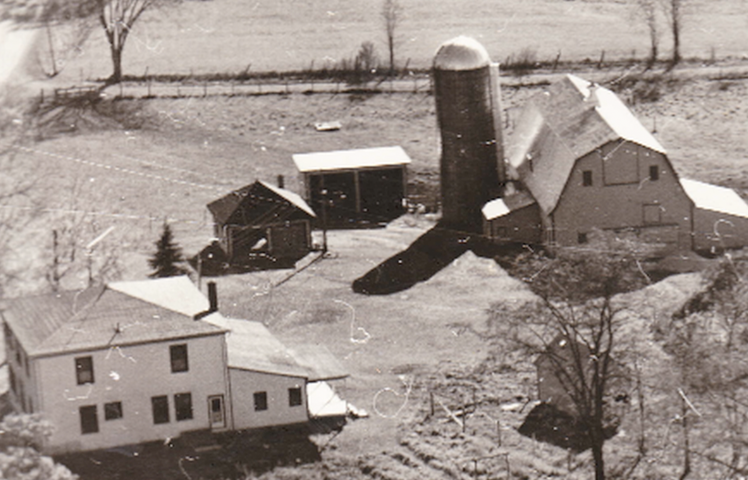 Screen Shot 2021-03-16 at 5.49.30 PM.png