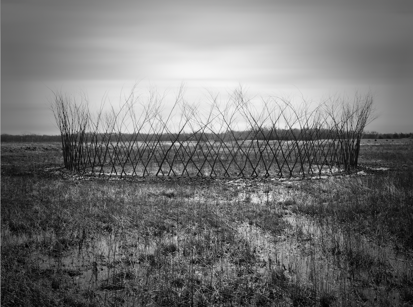 Zirkel No. 1, Baker Wetlands, Kansas, March 30, 2018 (looking west) Archival pigment print, 9" x 13.5" (23 cm x 34.3 cm) Edition, 1/7: $300 (sold), 2/7: $600