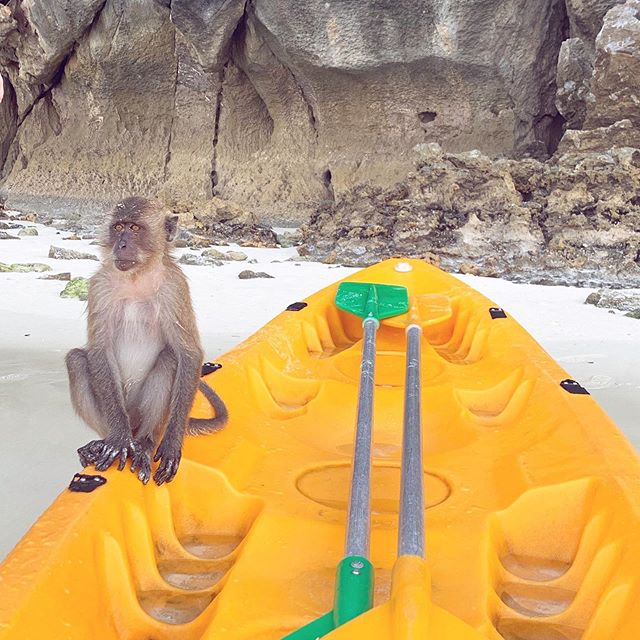 Hey. We went to Thailand. I made a video of our trip. It&rsquo;s pretty good. Maybe you could humor me and watch it. Link in bio 🐵