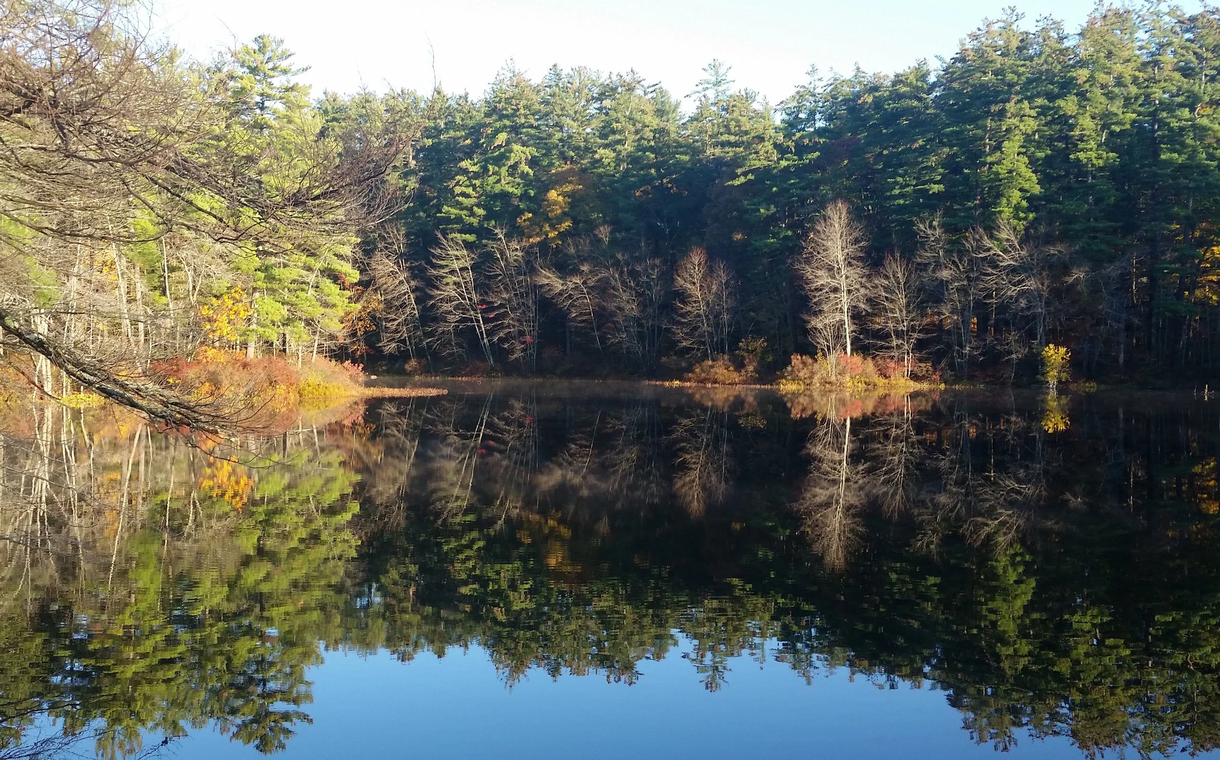 NH-Fall-Pond.jpg