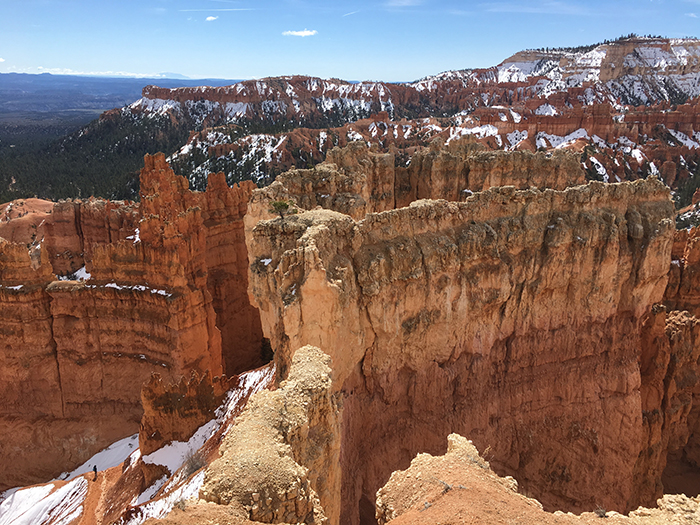 Bryce National Park