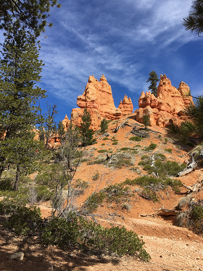 Bryce National Park