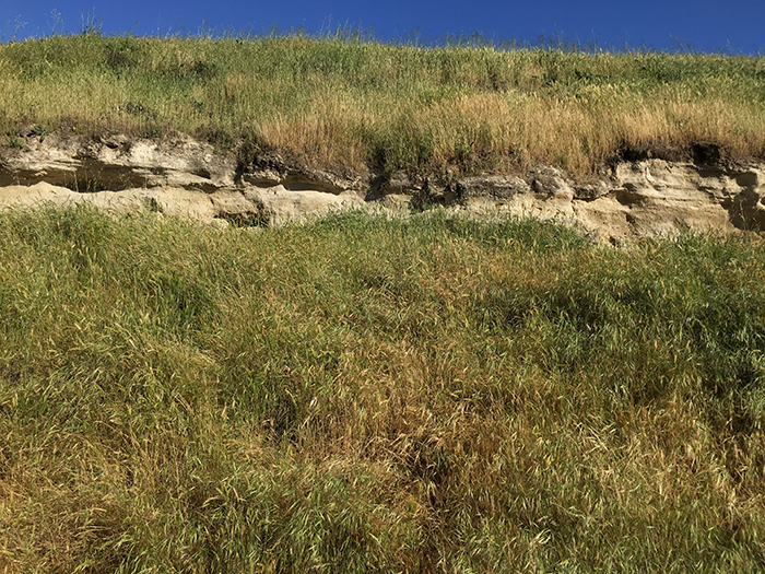 Fresno Cliffs