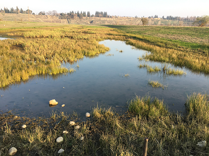 Fresno with water