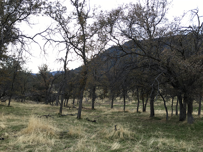 San Joaquin River - Gorge