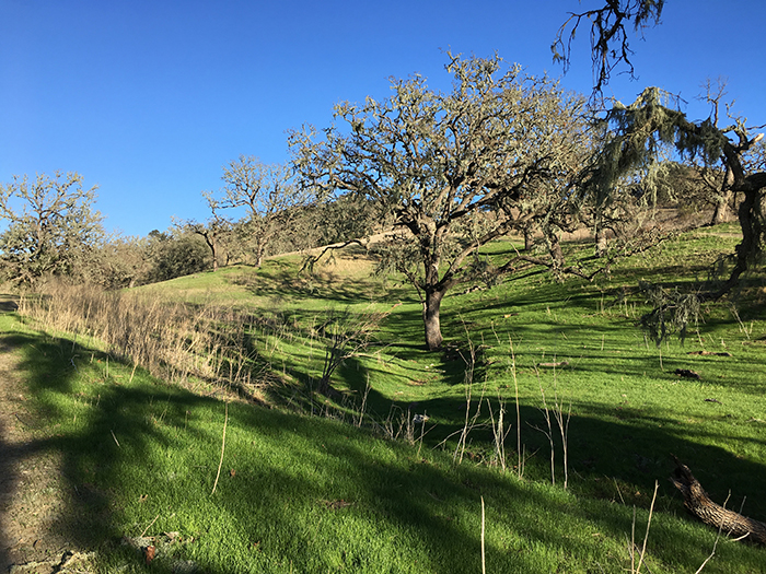 Santa Barbara - Hills