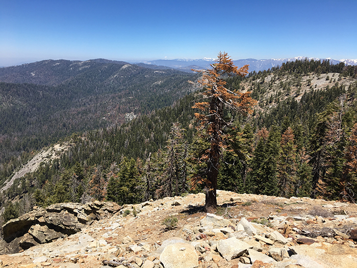 Sierra Nevadas - Mt. Baldy