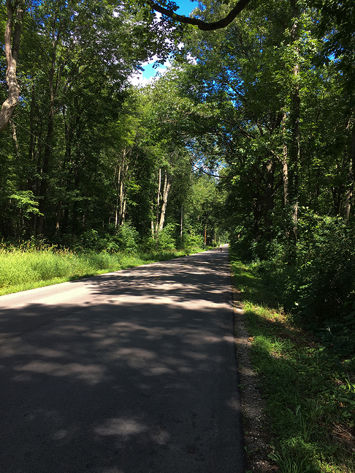 Southeast Michigan - Rural road