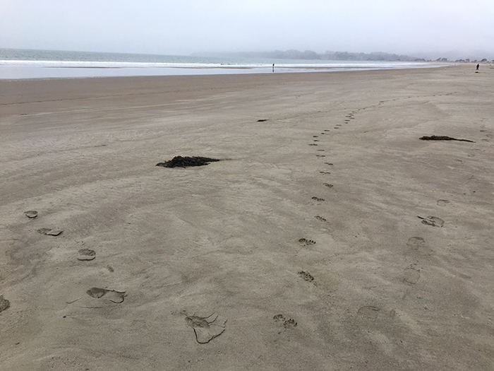 Stinson Beach - Low tide