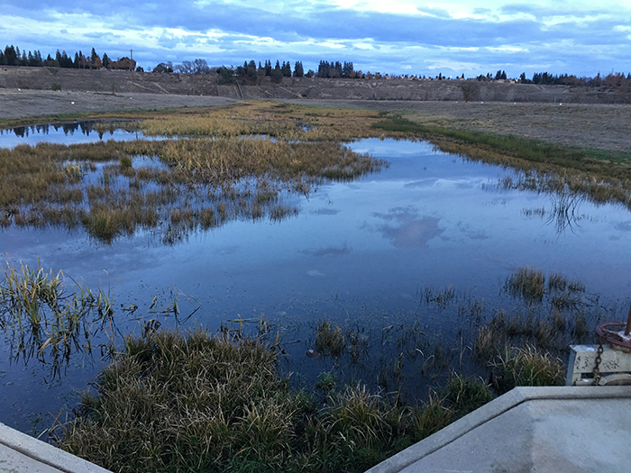 Woodward Park - After the rain