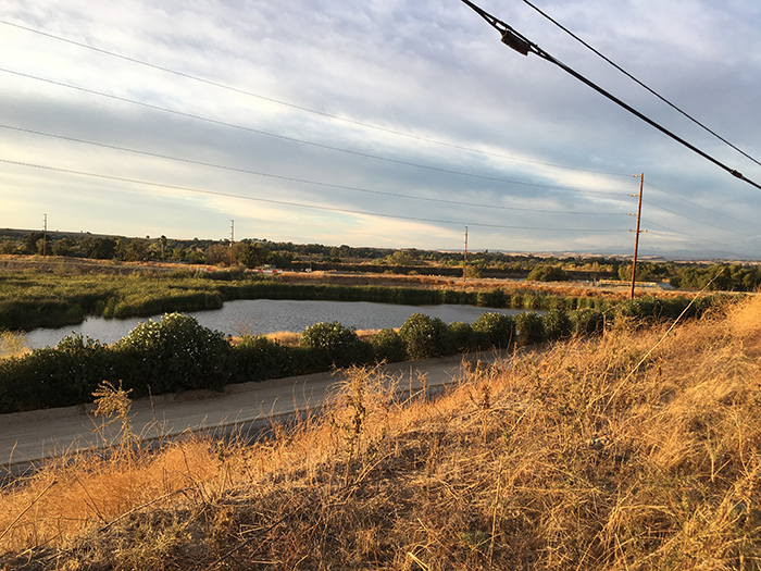 Woodward Park - Trail