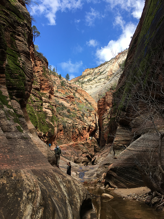 Zion National Park