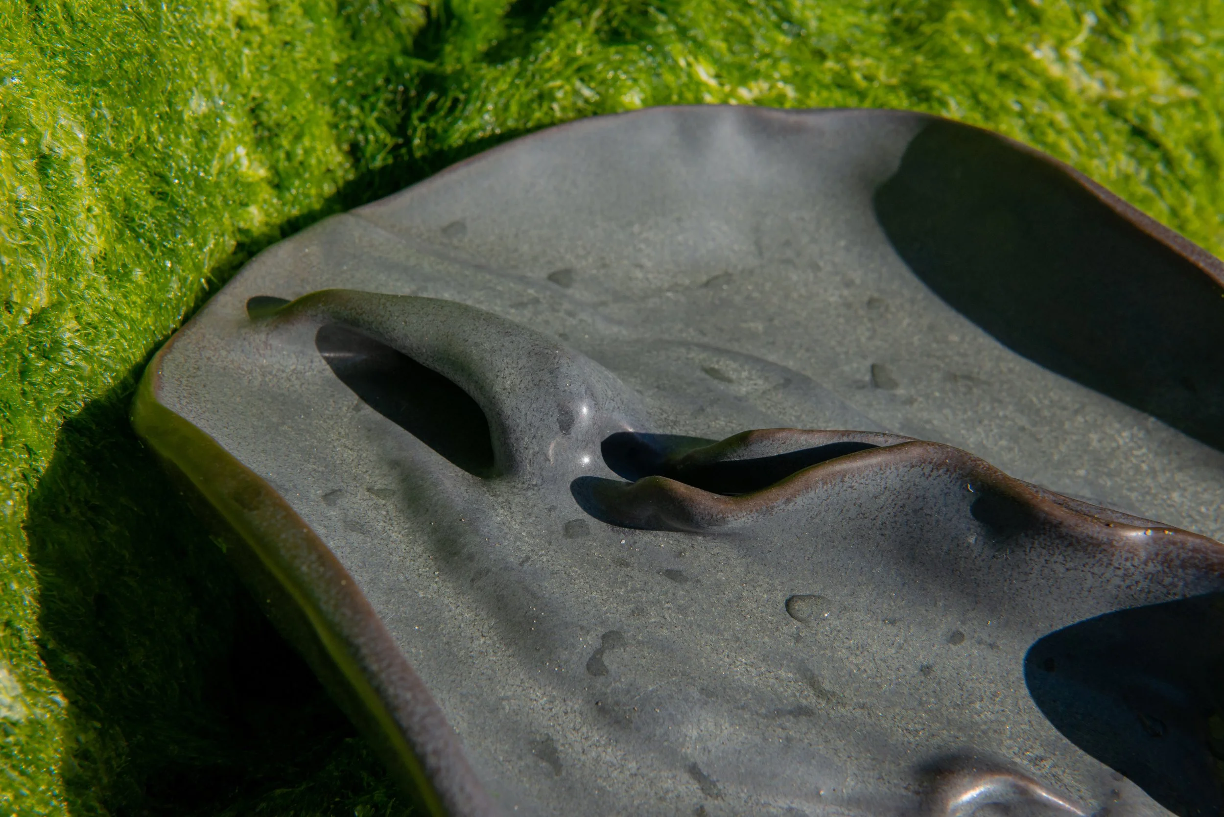 Ghostly Ceramic Vulva 2.jpg