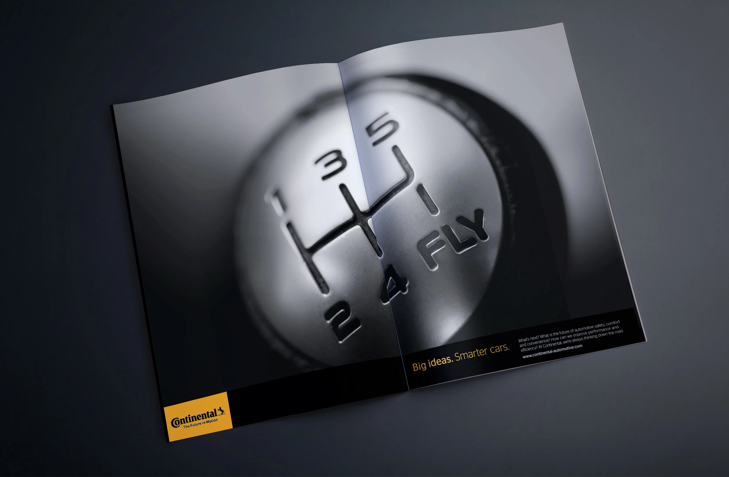 Tire Fold Out Brochure