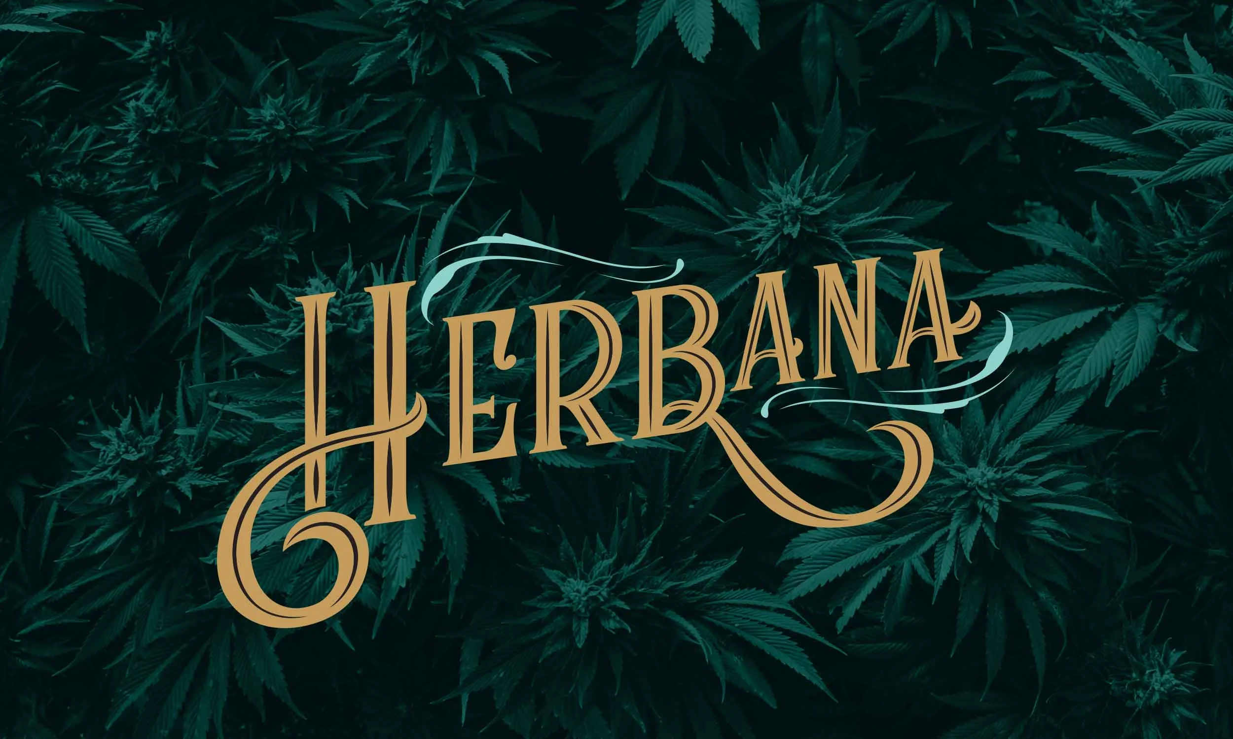 Logo Development