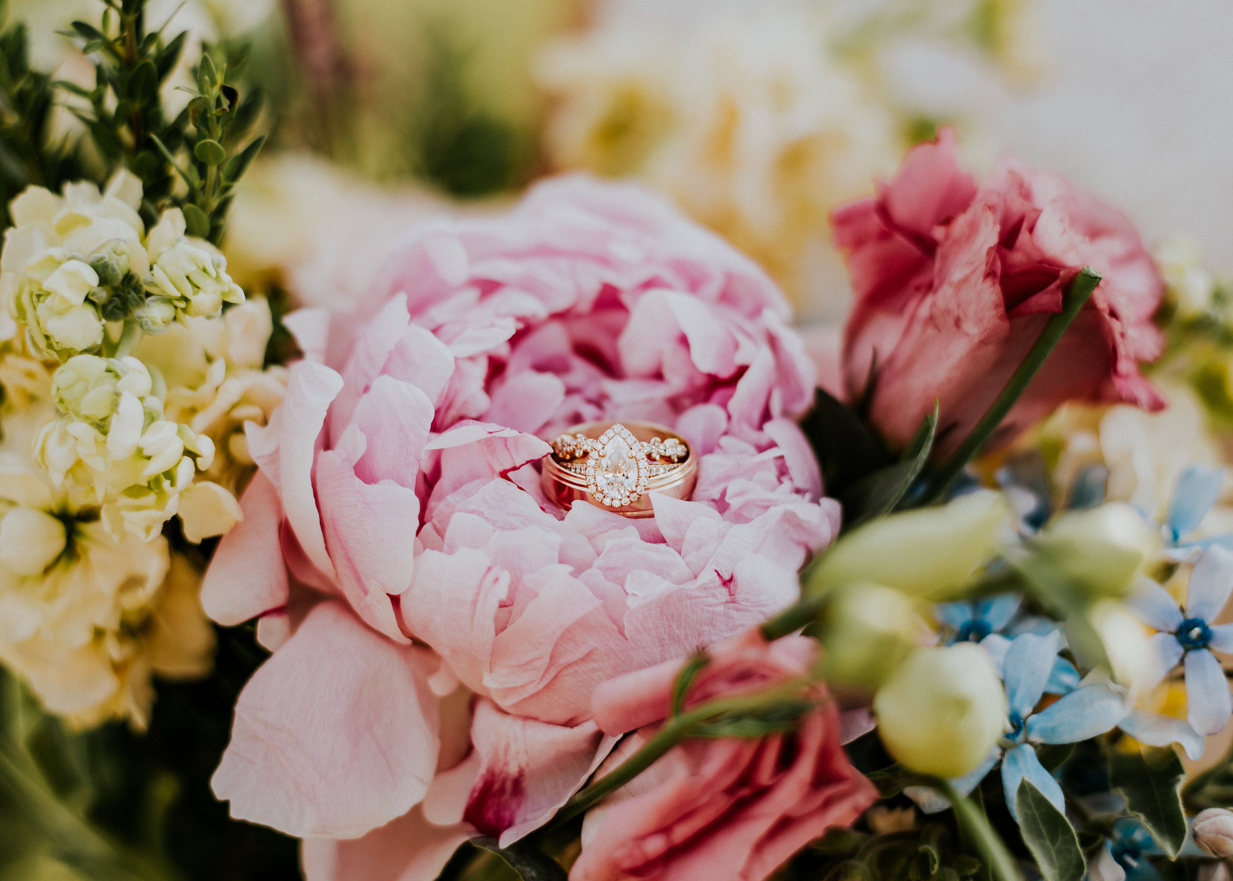 bridals-25.jpg
