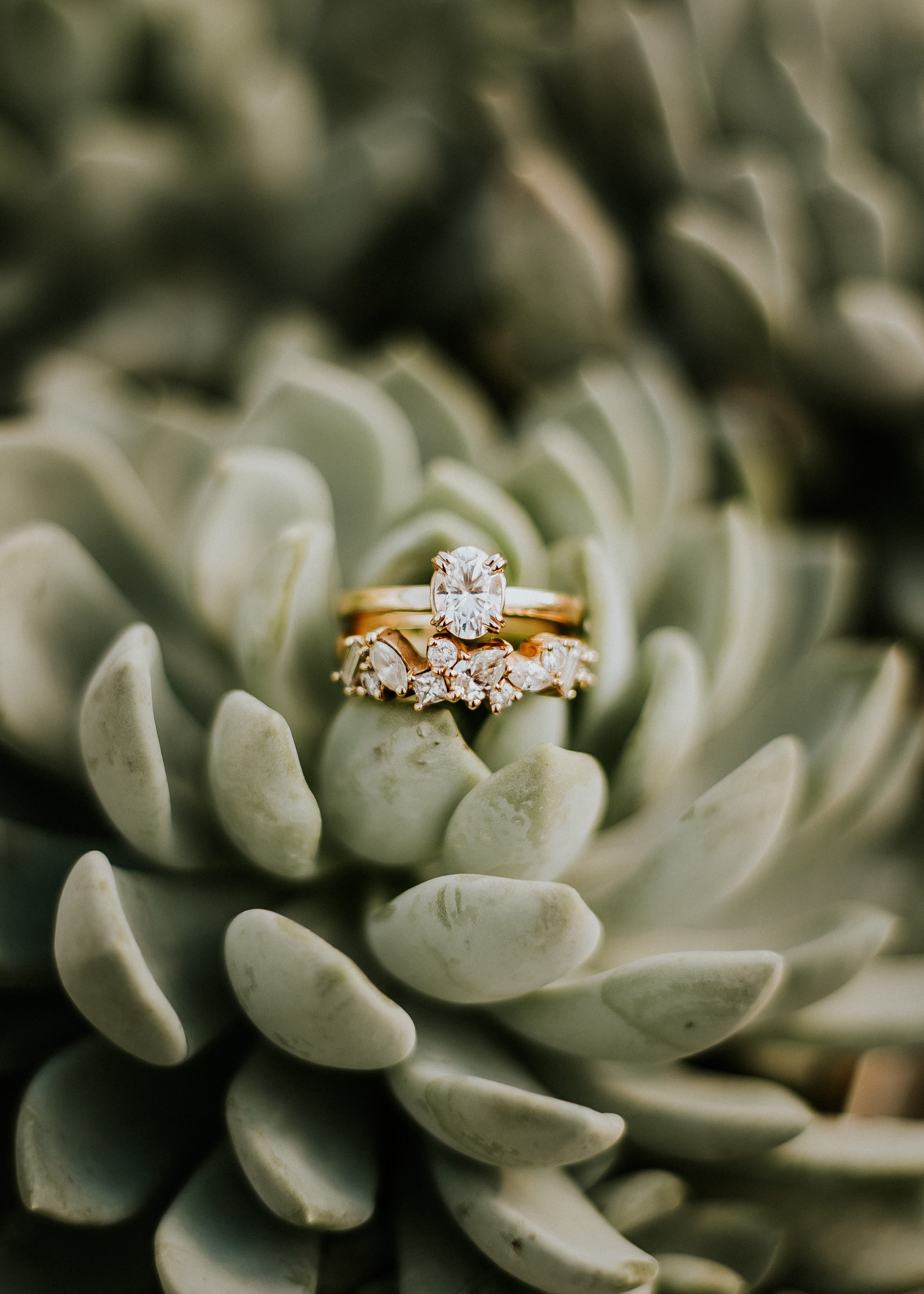 engagements-80.jpg