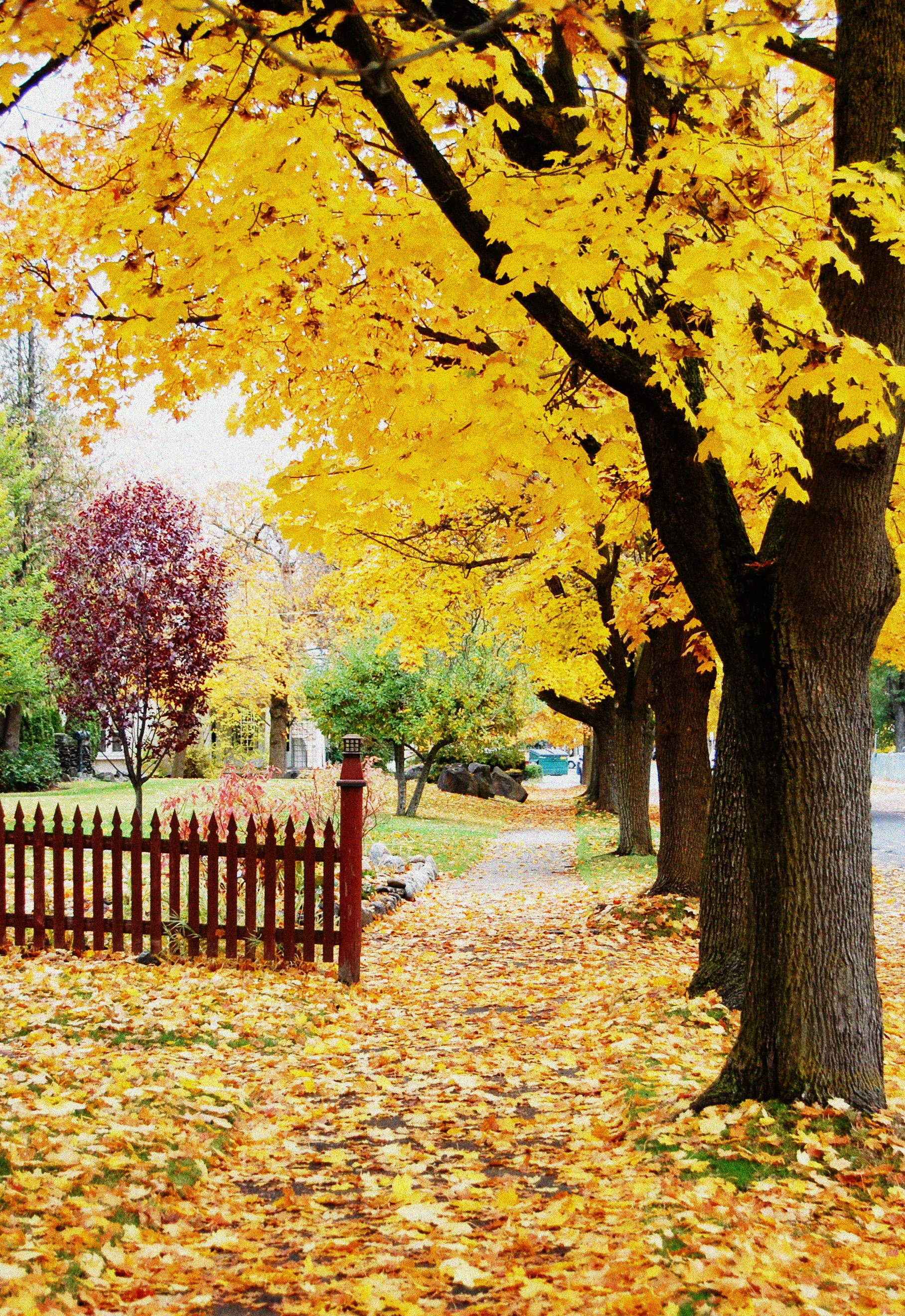 Hello September :: My Anticipation Month