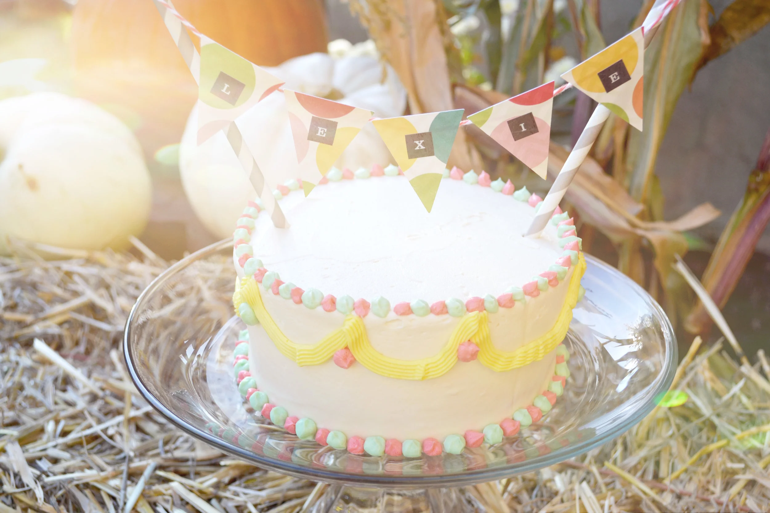 Carnival Themed 1st Birthday Party