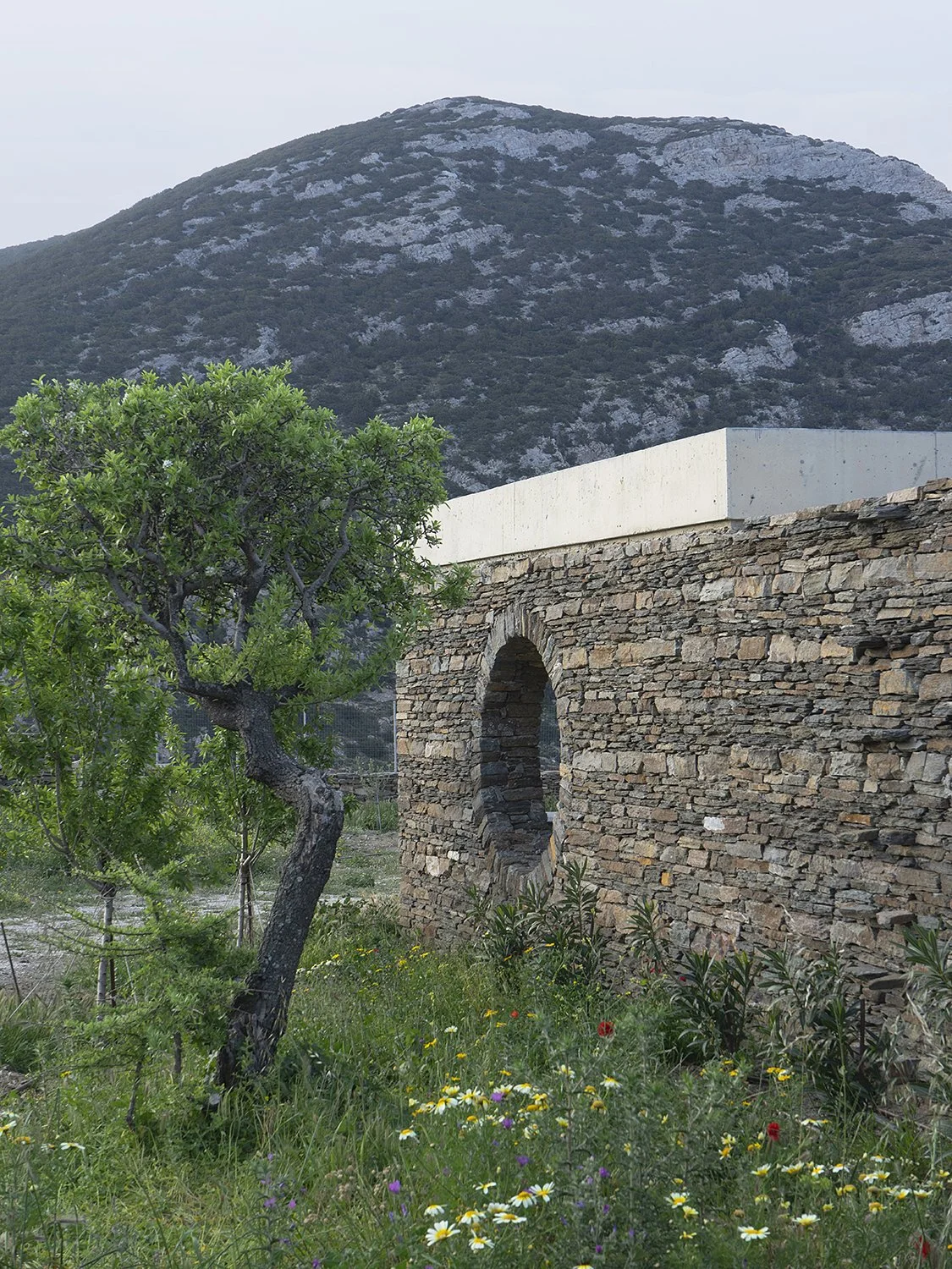 ALEXANDRE+PAVLIDIS+ARCHITECT+OFFICEMUTO_HOUSEWITHAGARDEN_9.jpg