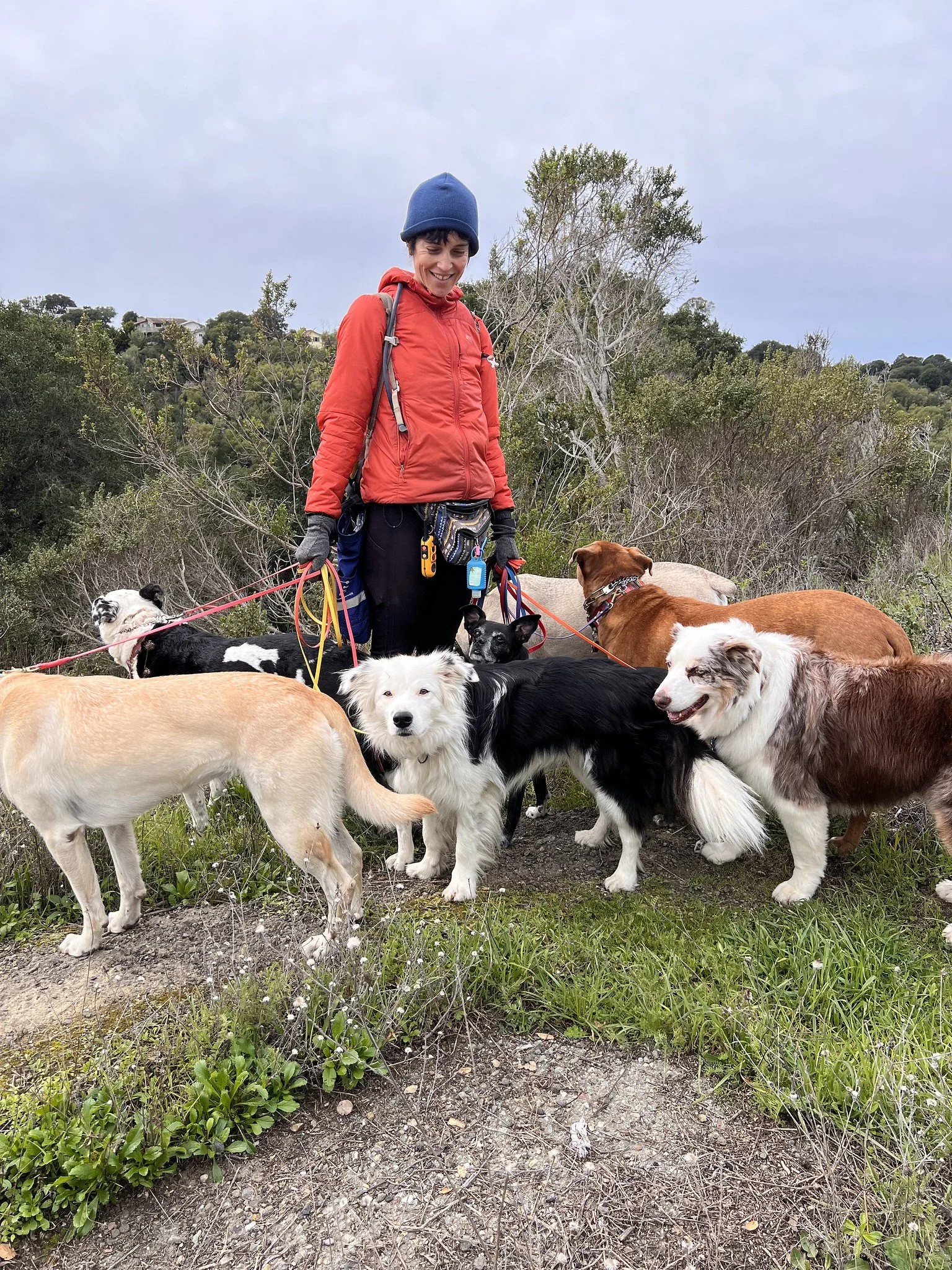 Alison and her pack