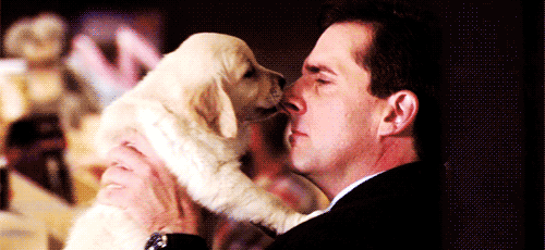 Puppy-Licking-Michael-Scotts-Nose.gif
