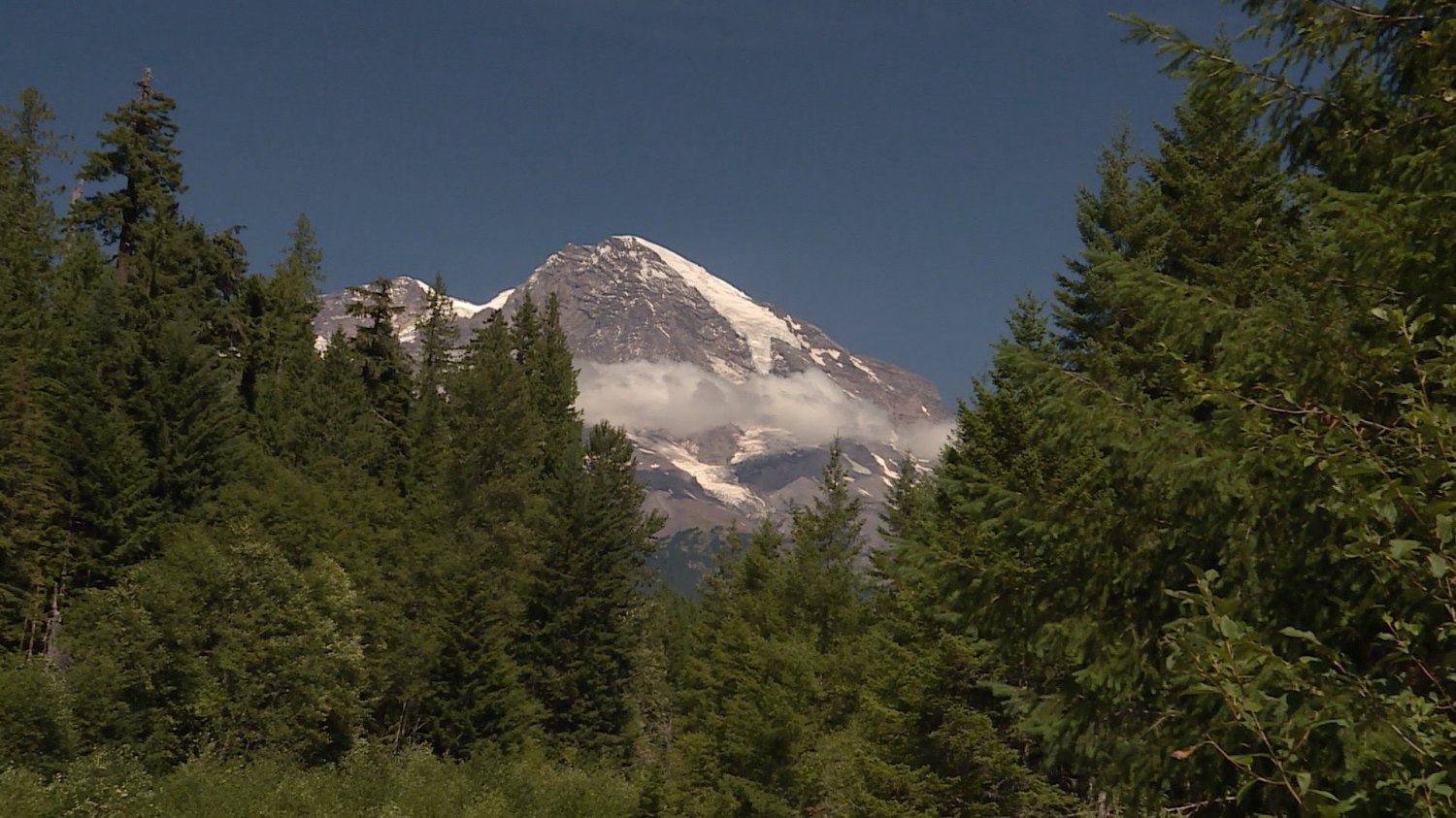 batch_Mount Rainier.jpg