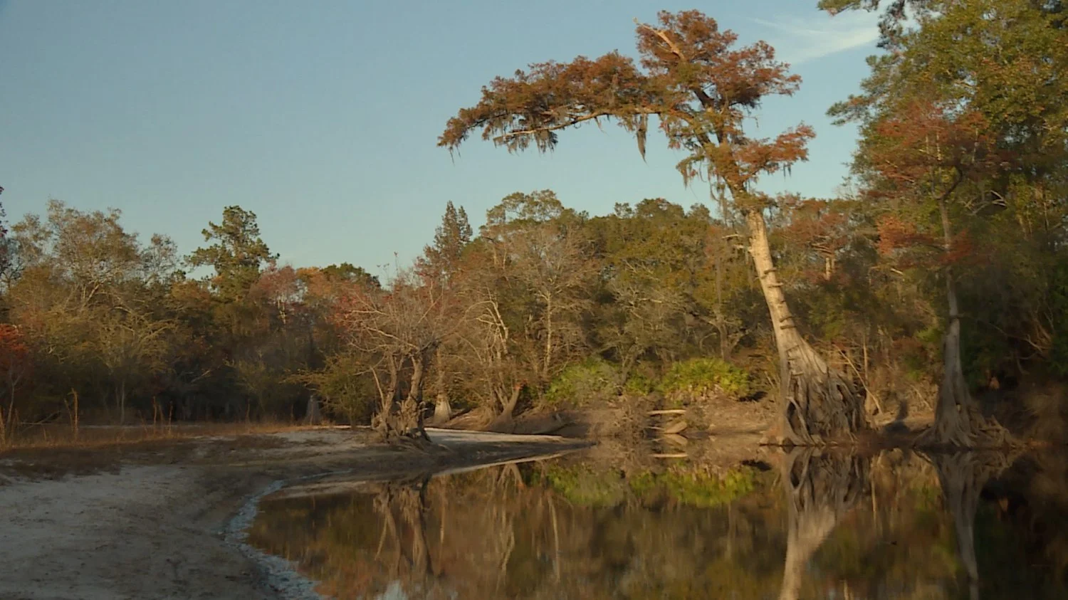 batch_Swannee River.jpg