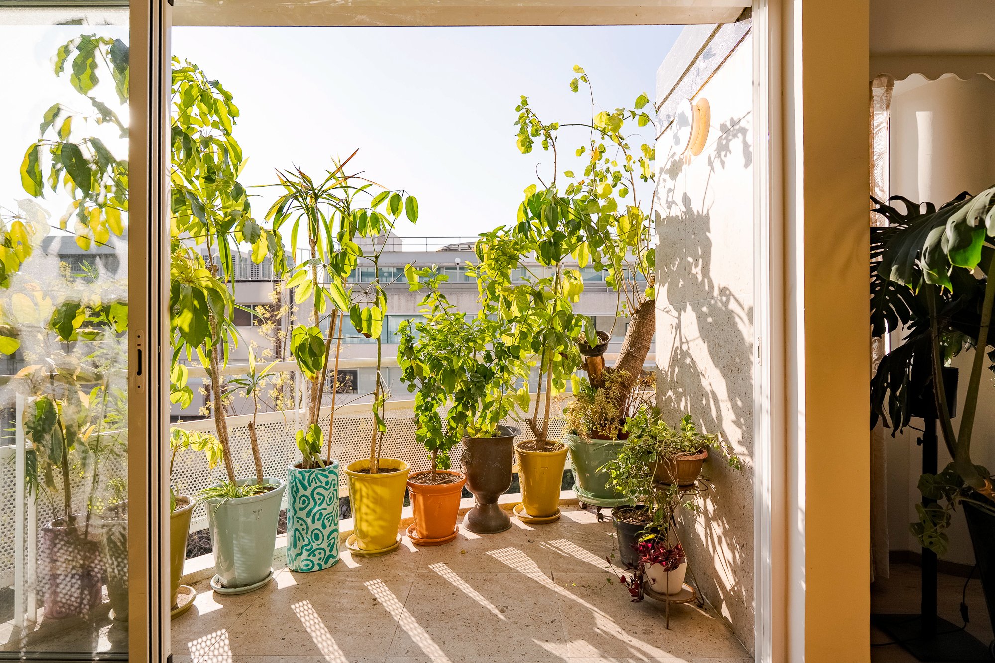 BUNGALOW POLANCO-46.jpg