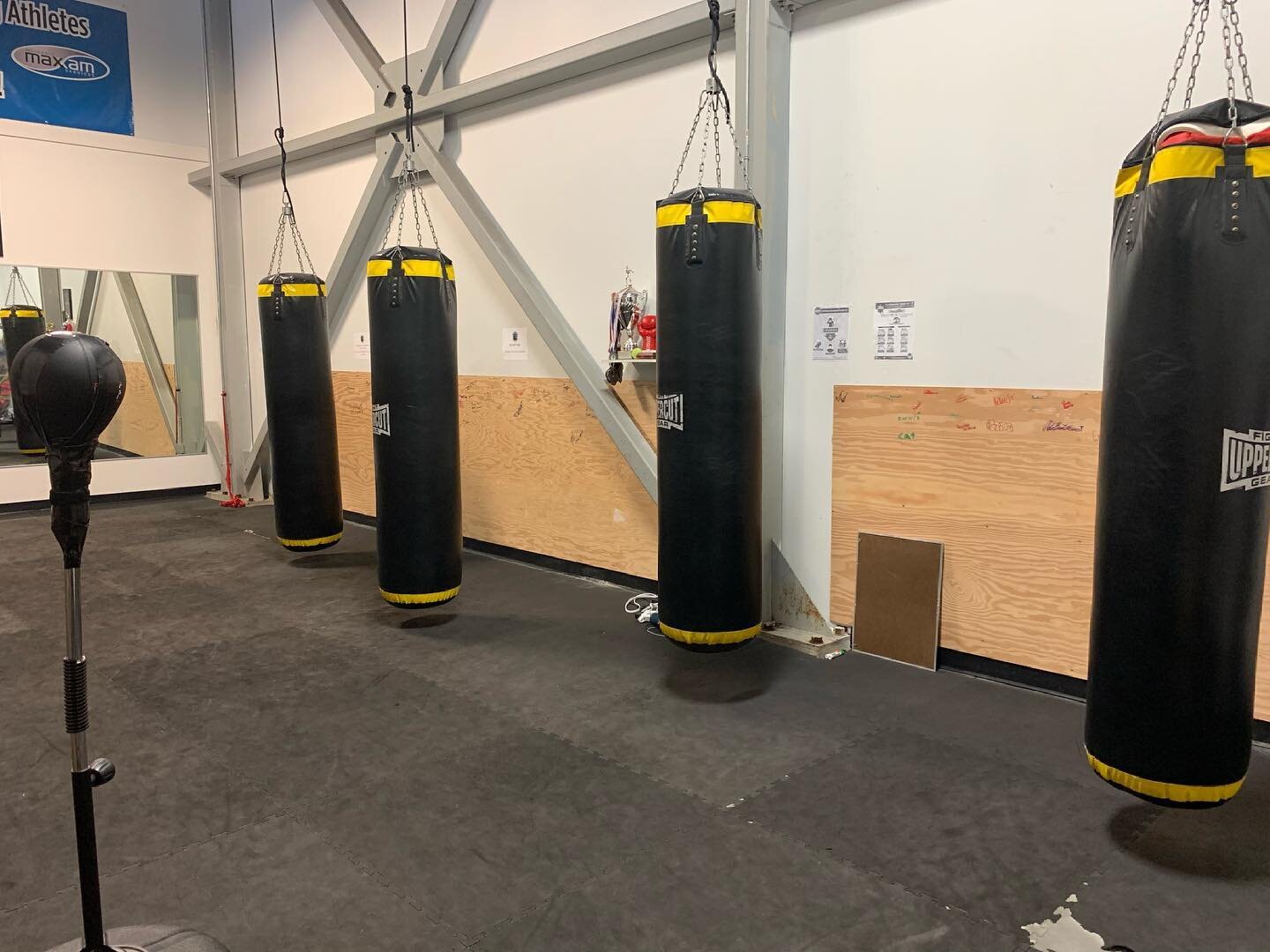 ❗️Hey guys❗️

Starting Monday (05/31/2021) we are going to be back in the gym for technical training! 

Everyone will have to wear a mask and classes will have a limited capacity. Please go to our website to book your classes! 
🥊😎💪
Questions or co