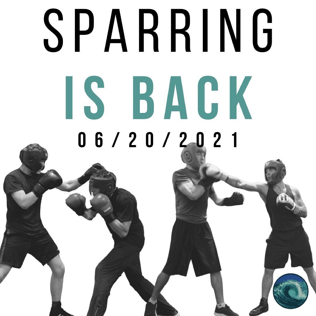 That&rsquo;s right sparring is back at Westshore Boxing Gym! 👏👏

Starting next week, 06/20/2021 Monday and Wednesday nights from 7 to 8pm we will have sparring. 

This is a contact class, experience boxing is required as well as:

16oz gloves
Mouth
