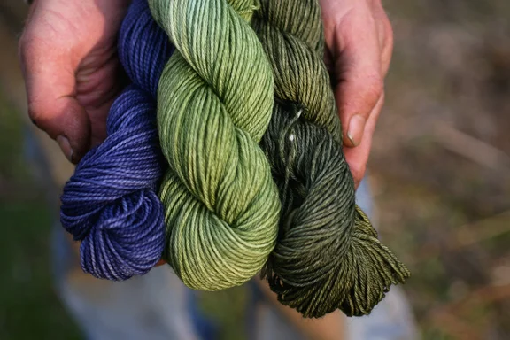 My husband holding 3 skeins of Olann Gra sock yarn.