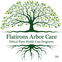 Flatirons Arbor Care