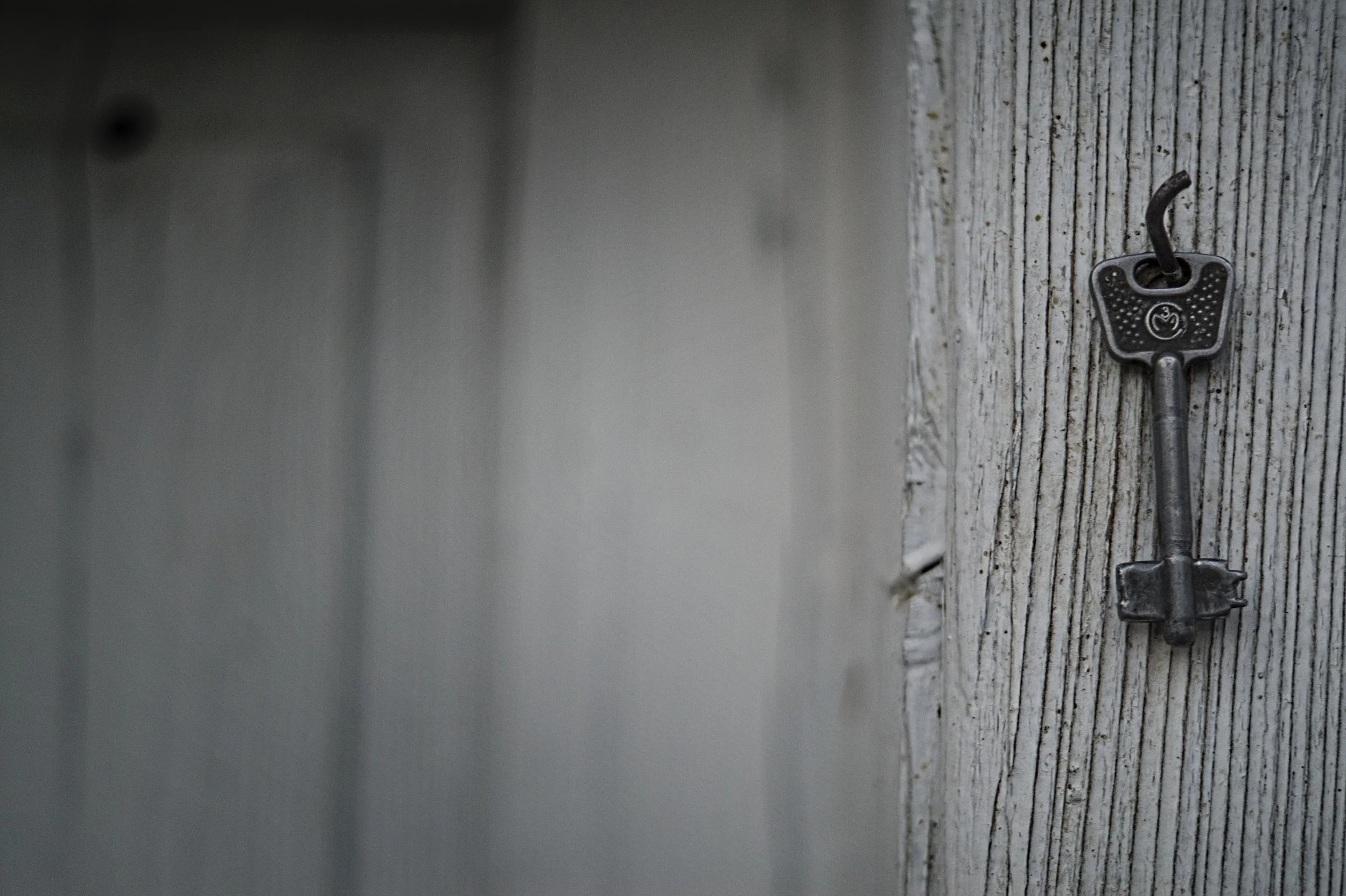 blur-close-up-focus-217316.jpg