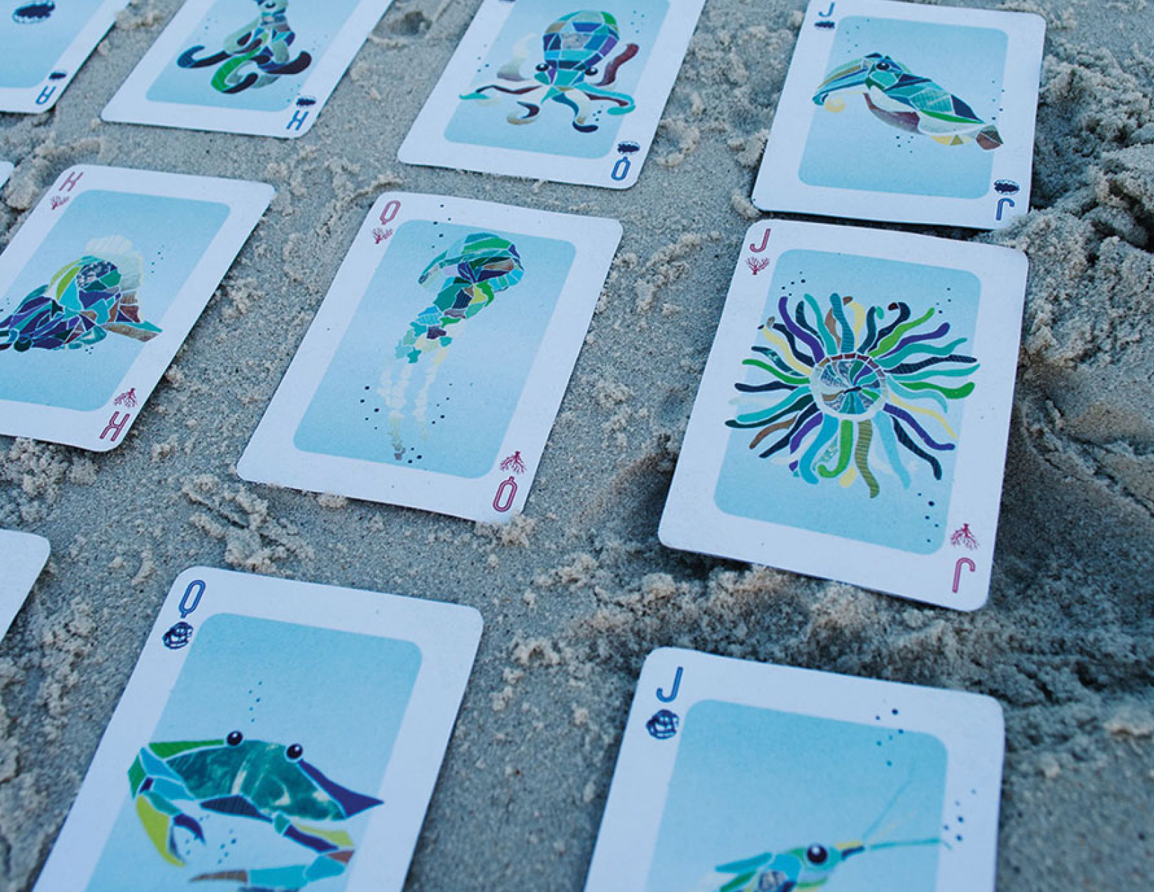 Card Deck5.png