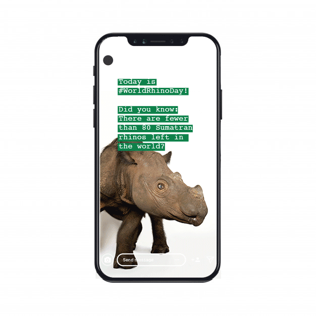 Iphone-Mock-ups.gif